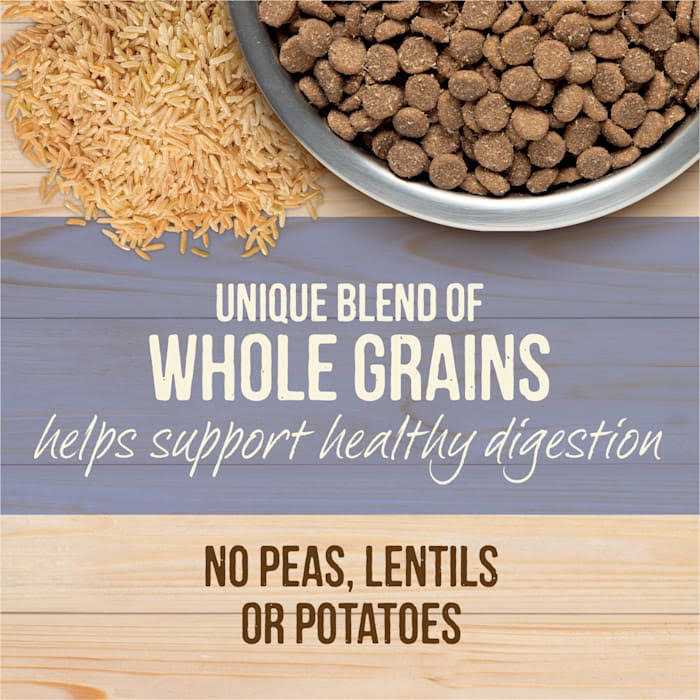 Healthy Grains Freeze Dried Raw Coated Dry Dog Food P639513