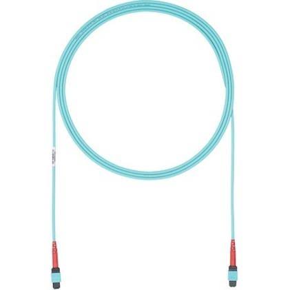 Fiber Optic Network Cable 69 ft S226