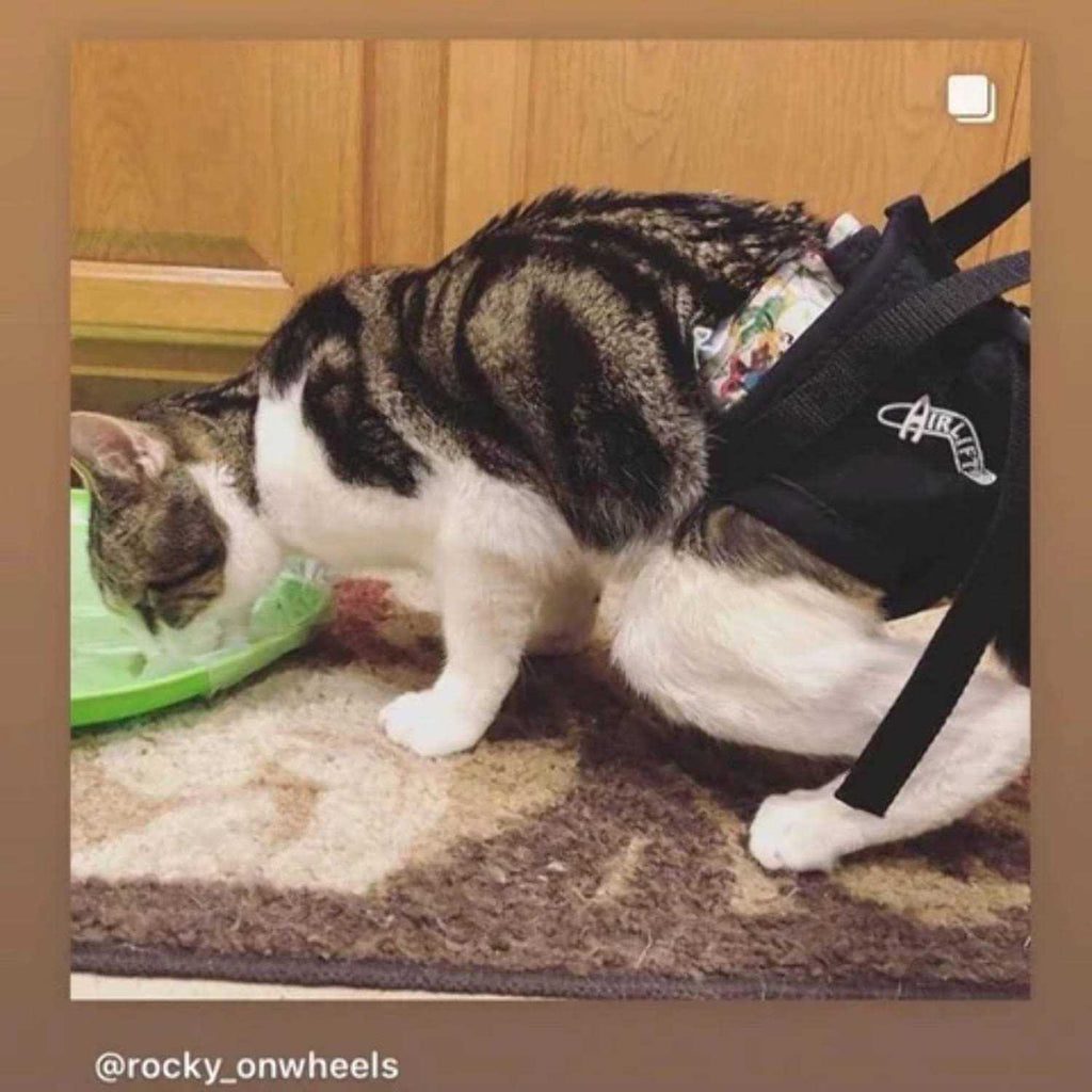Support Harness J74671