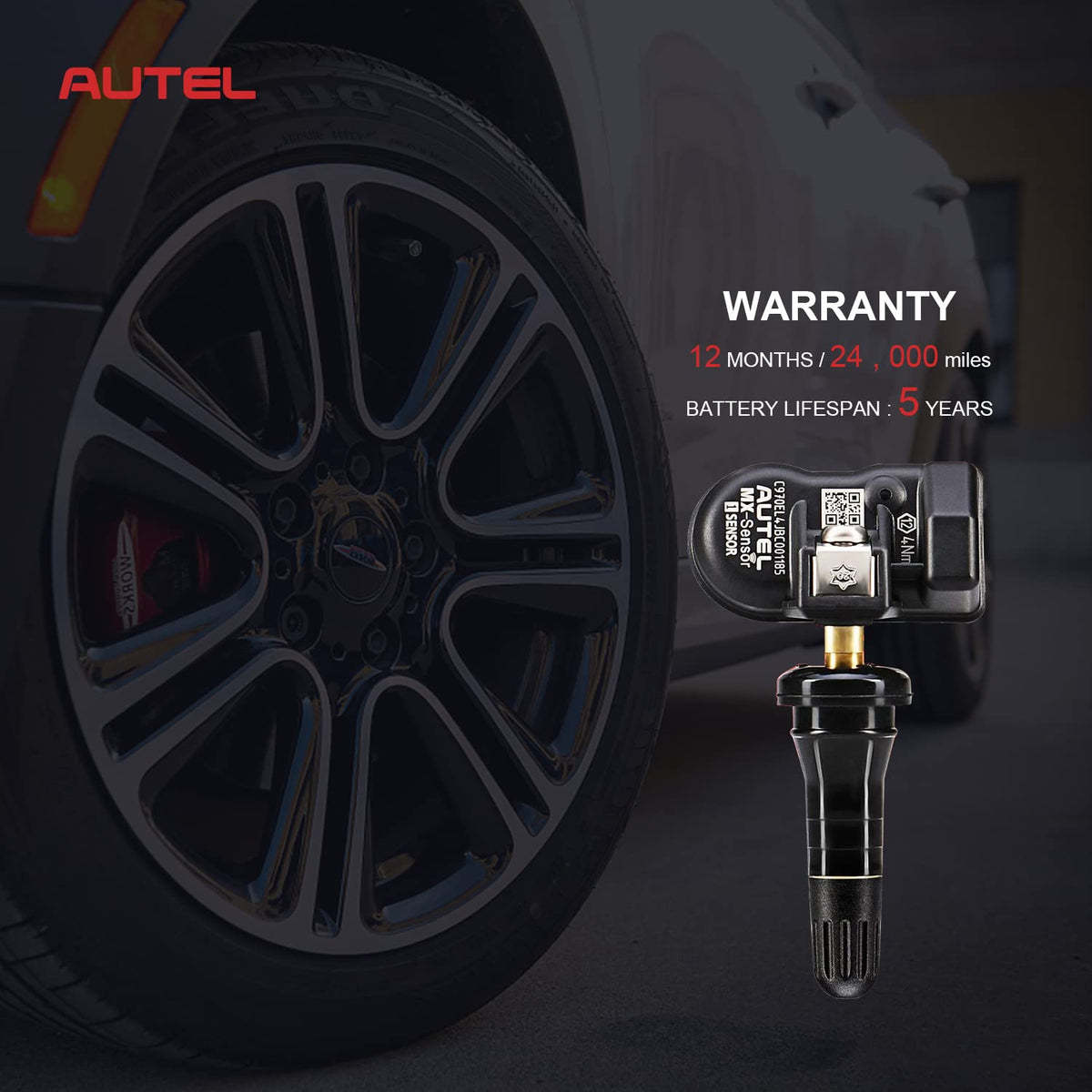 2 in 1 Dual Frequency Programmable TPMS Sensor Sets of 4 R442
