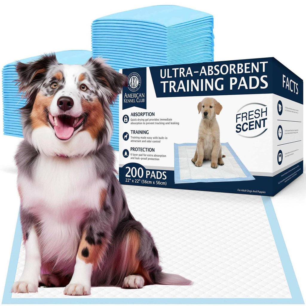 Puppy Training Pads Z32083