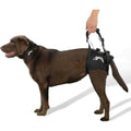 Support Harness J74671