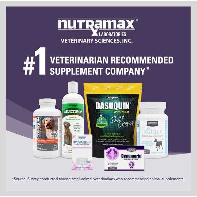 Liver Health Tablets Dogs A212