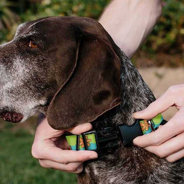 Scooby Doo The Mystery Machine Dog Collar E24743