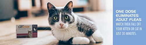Oral Flea Treatment Tablets for Cats, 6 Doses I27621