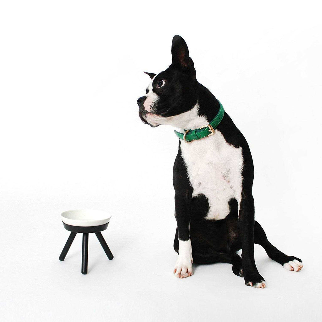 Pet Supplies W529