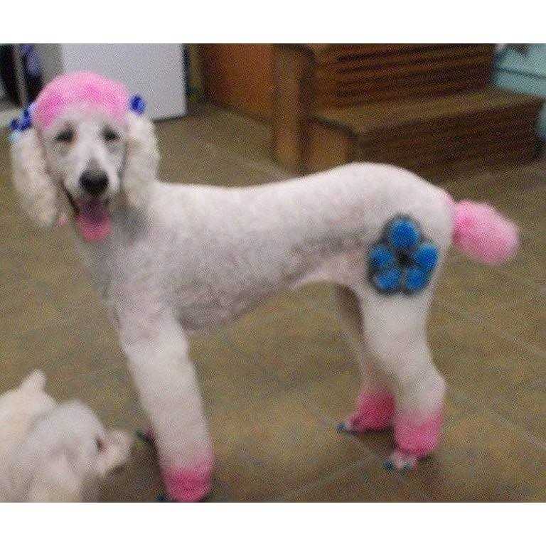 Pet Supplies G89395
