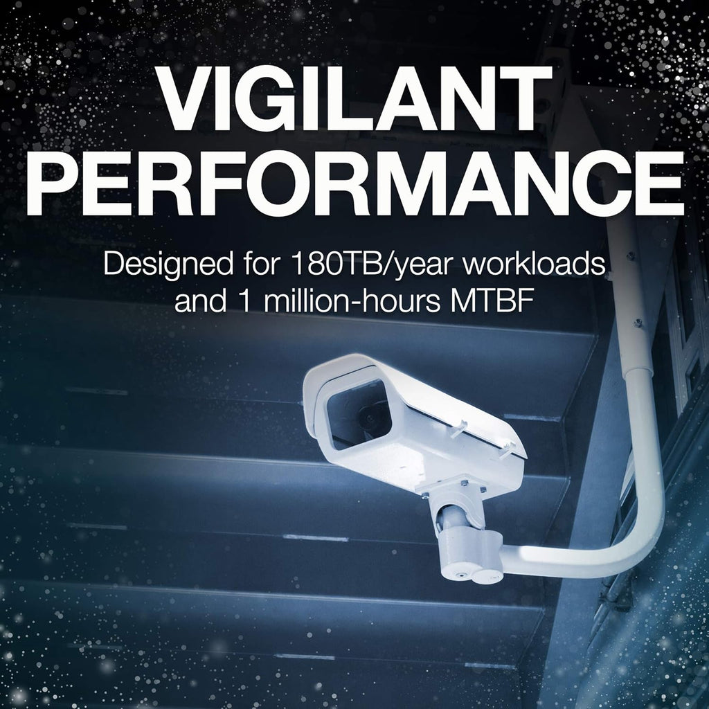 1TB Surveillance Hard Drive C413695