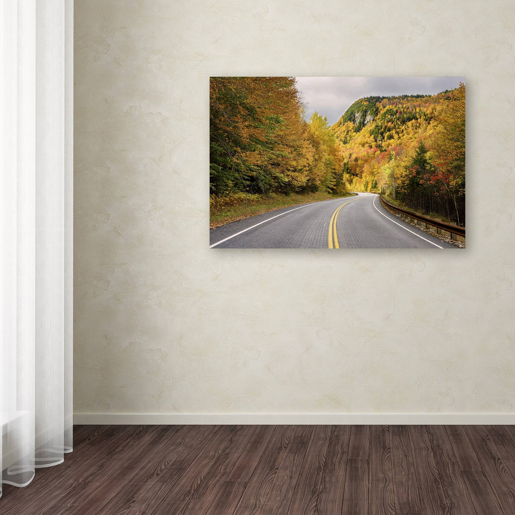 Canvas Art 16 x 24 M22948