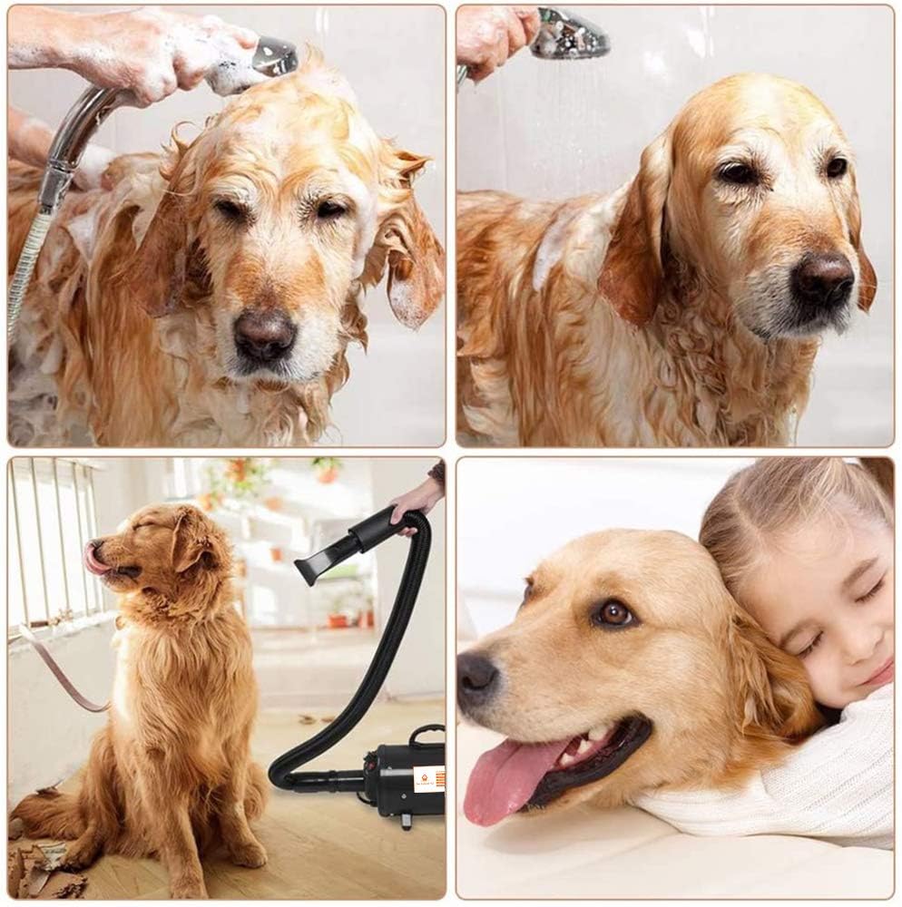 Dog Blow Dryer 4.5HP 2800W High Velocity 2 Motor Z847