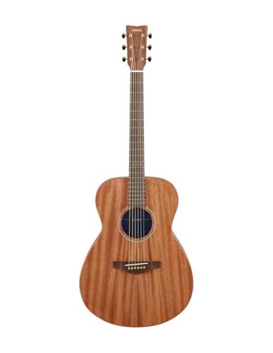 Acoustic Guitar Q7904