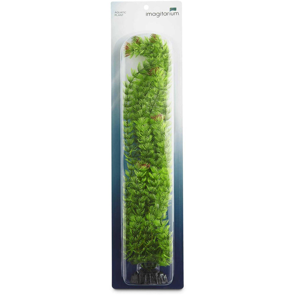 Extra Large Green Plastic Ambulia R569585