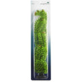 Extra Large Green Plastic Ambulia R569585