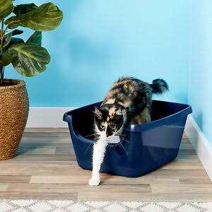 High Sided Cat Litter Box T733863