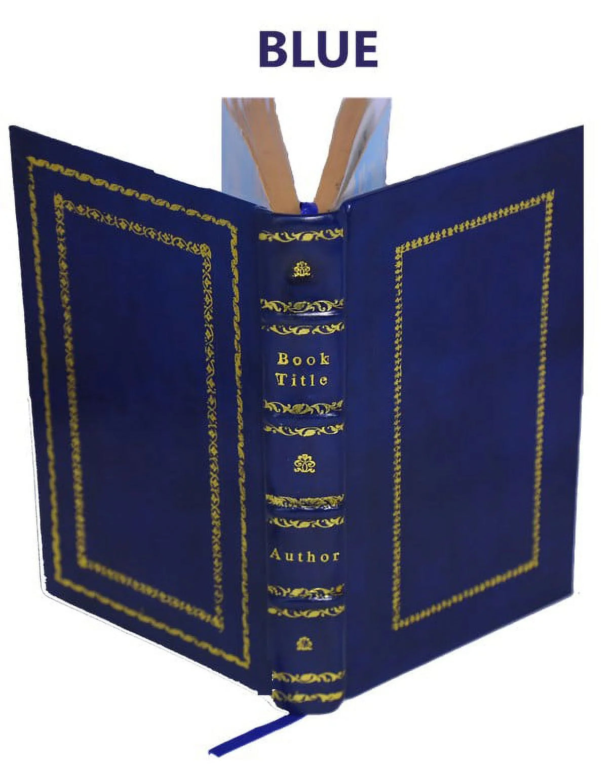 Premium Leather Bound Dracula T702