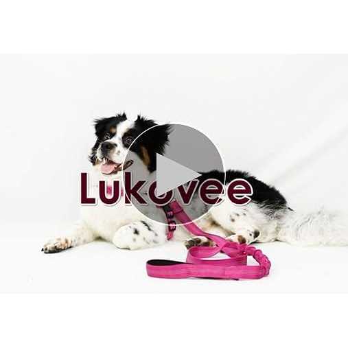 Heavy Duty Adjustable Reflective Dog Harness and Leash C835278