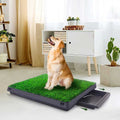 Dog Grass Pad with Tray 20” x 25” X47271