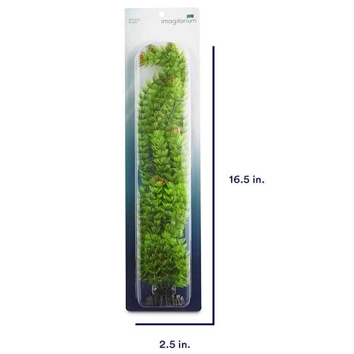 Extra Large Green Plastic Ambulia R569585