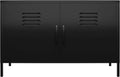 Black 2 Door Metal Locker Accent Cabinet L911