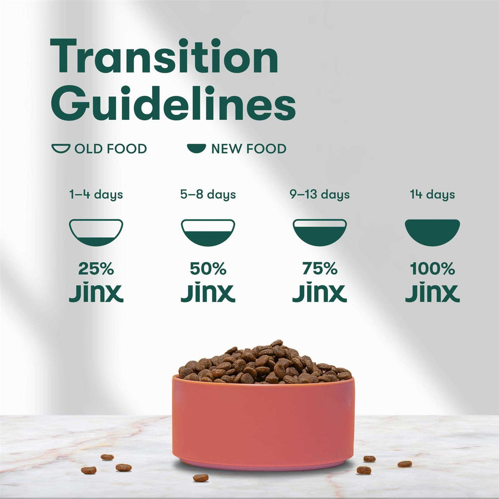 Grain Free Dog Food B4047