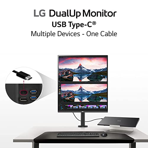 DualUp Monitor L801