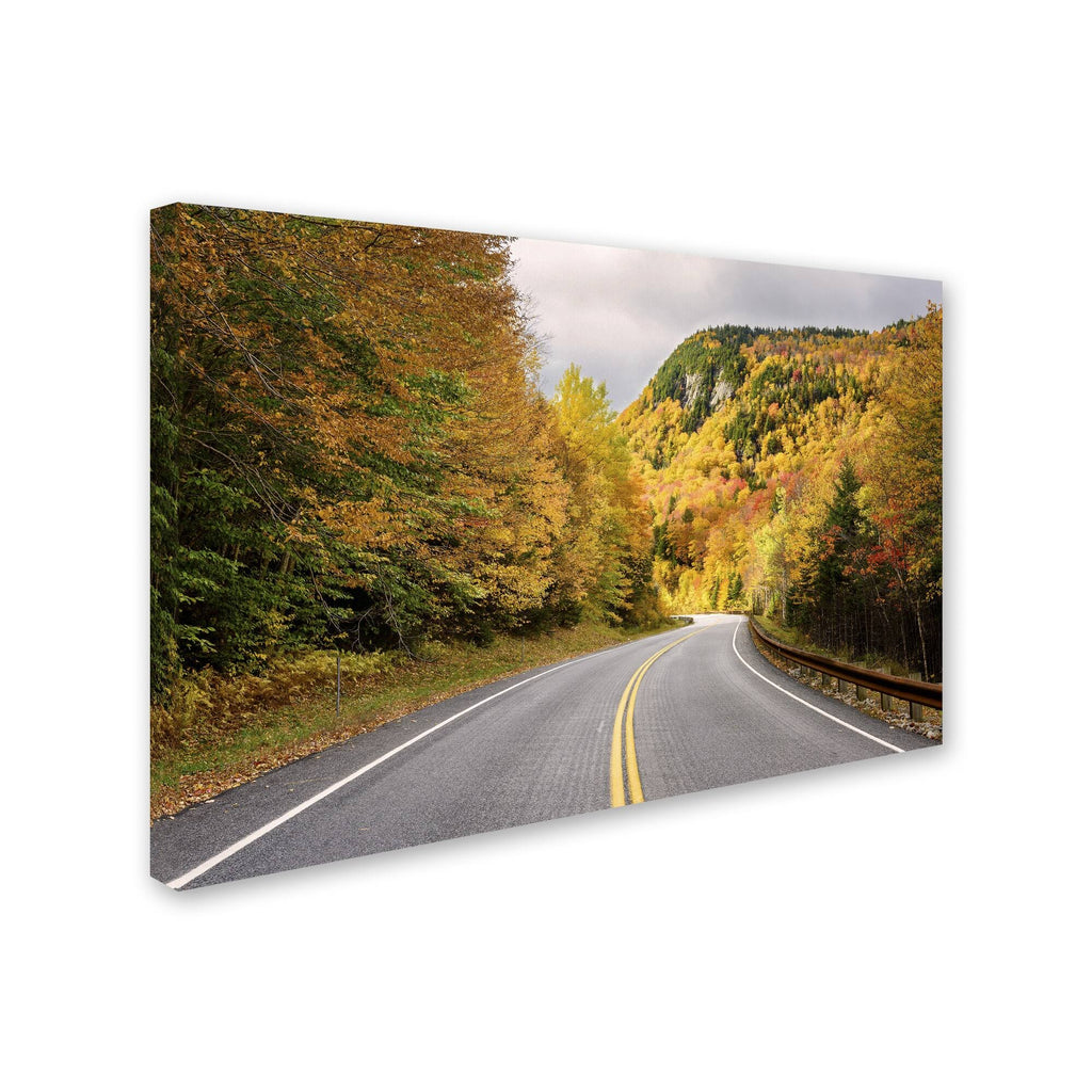Canvas Art 16 x 24 M22948