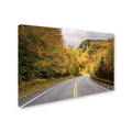 Canvas Art 16 x 24 M22948