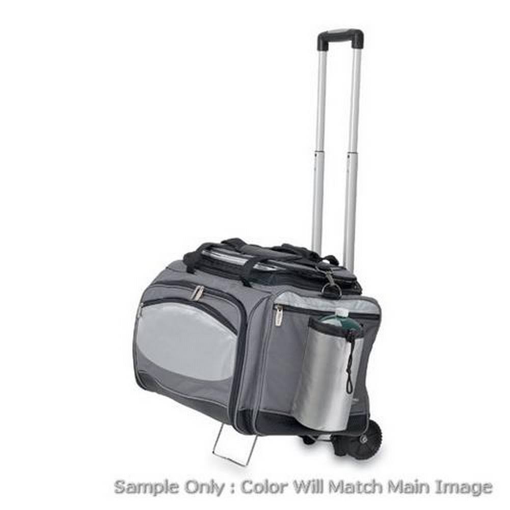 Vulcan Cooler and Propane Gas Grill G17964