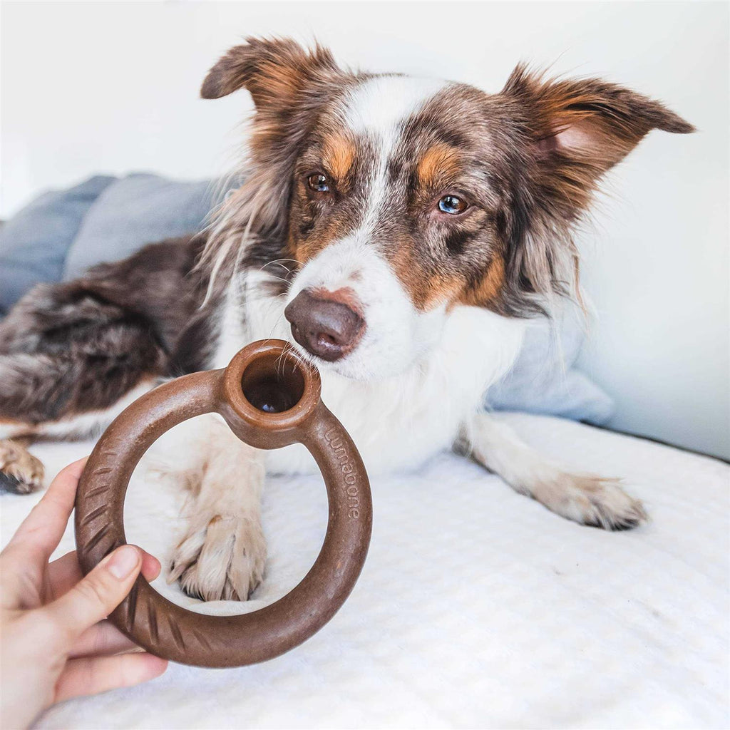 Durable Chew Toy for Aggressive Chewers Q122089