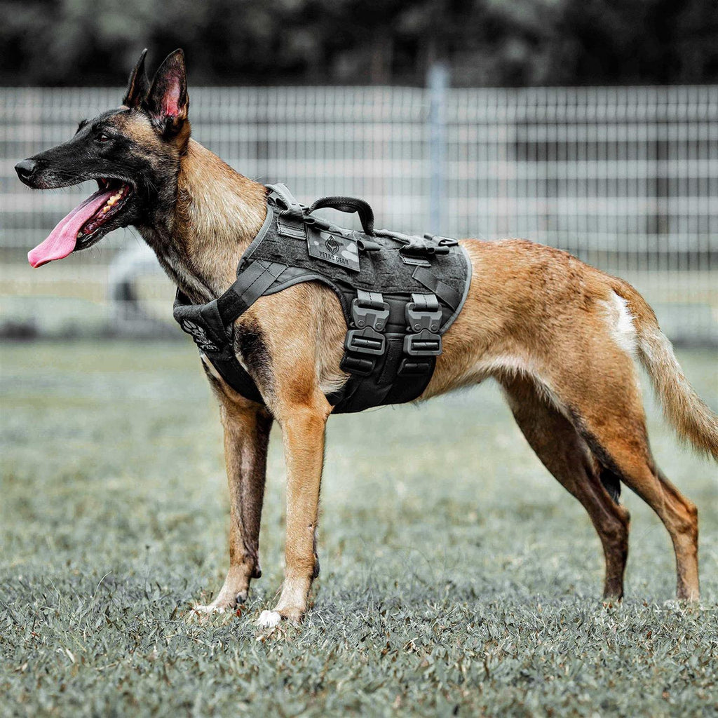 Tactical Dog Harness K9 Dog Training Vest Adjustable Padded MOLLE Vests B91675