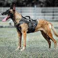 Tactical Dog Harness K9 Dog Training Vest Adjustable Padded MOLLE Vests B91675