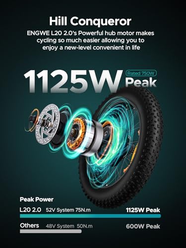 1125W Electric Bike 20'' Fat Tire 13Ah Removable Battery Dual Suspension F82557
