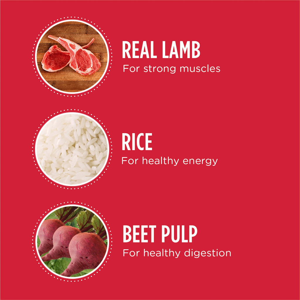 40 lb. Lamb & Rice Dry Dog Food R791781