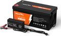 12V 300Ah LiFePO4 Battery with 20A Charger E564