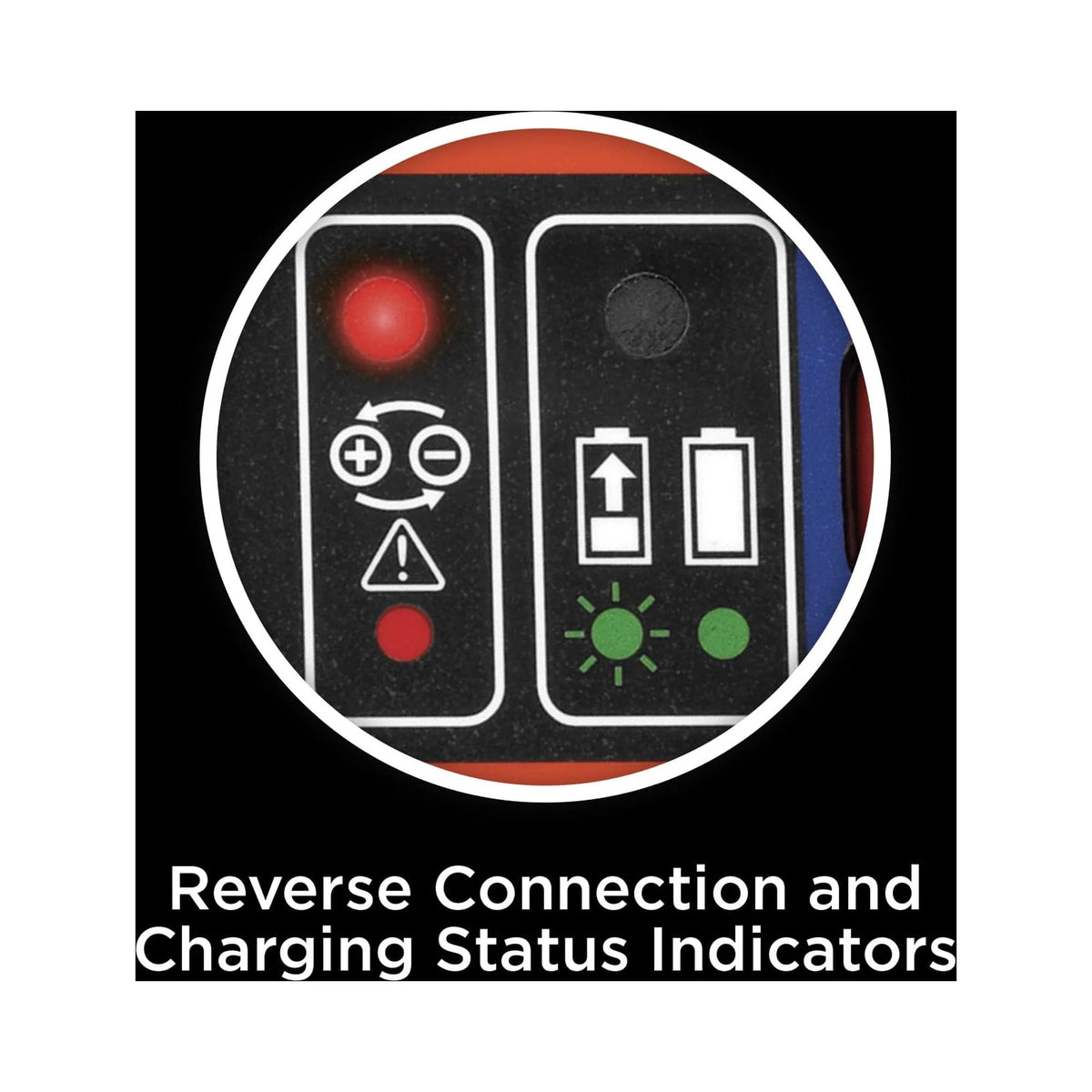 6V and 12V Battery Charger/Maintainer X632776