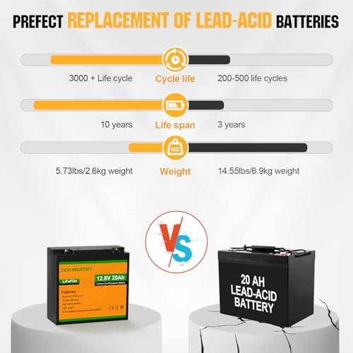 12V 20Ah Lithium LiFePO4 Battery with BMS P36217