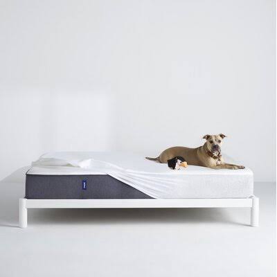 Queen Size Mattress Protector B469