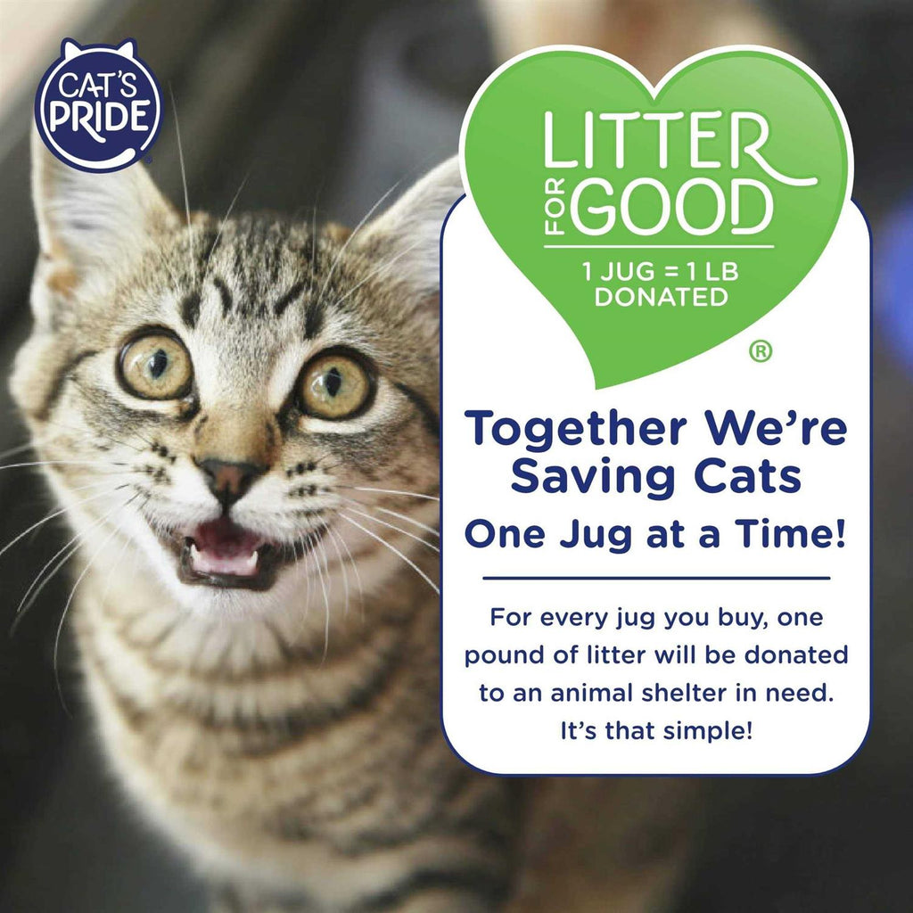 Multi-Cat Clumping Litter K493617