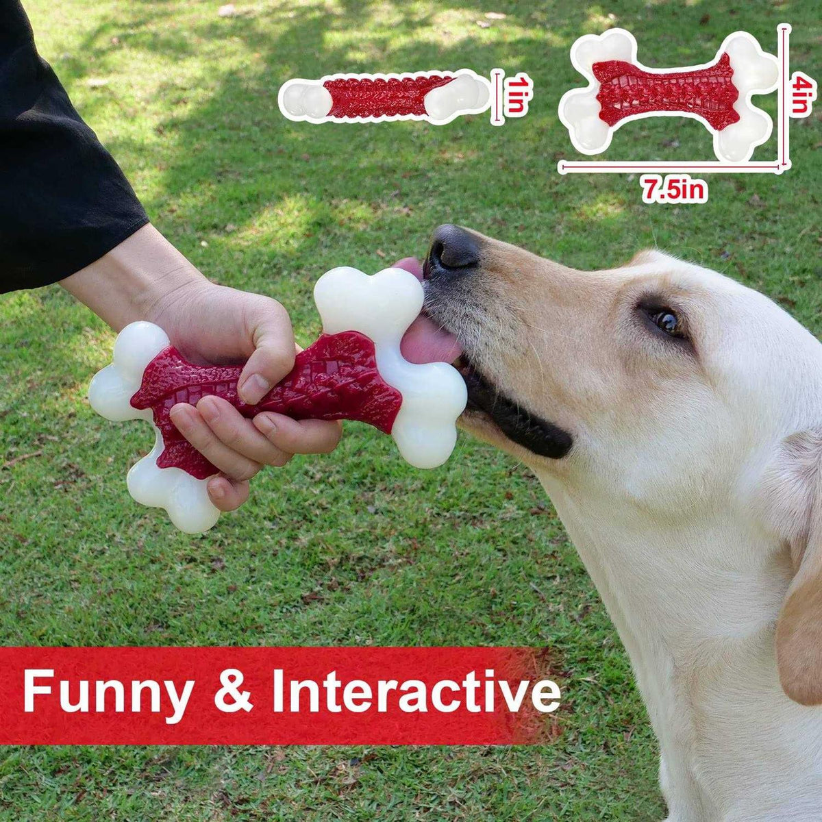 Tough Dog Toys for Aggressive Chewers Large Breed D497087