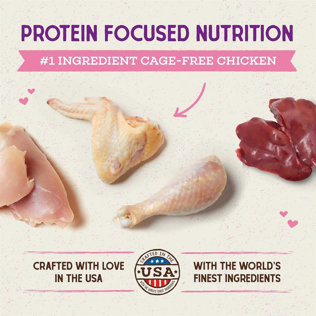 Raw Coated Cage-Free Chicken Kitten Dry Cat Food Y650