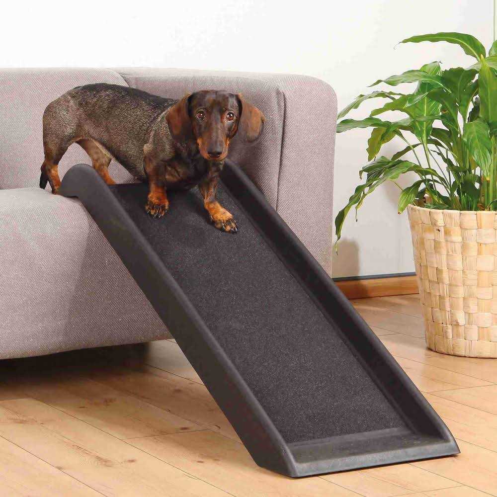 Pet Ramp D804258