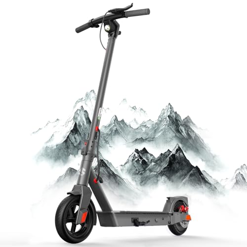 Electric Scooter with 10" Tires, 600W Peak Motor, 22 MPH Speed, 30 Miles Range, Dual Brakes, LCD Display N78163