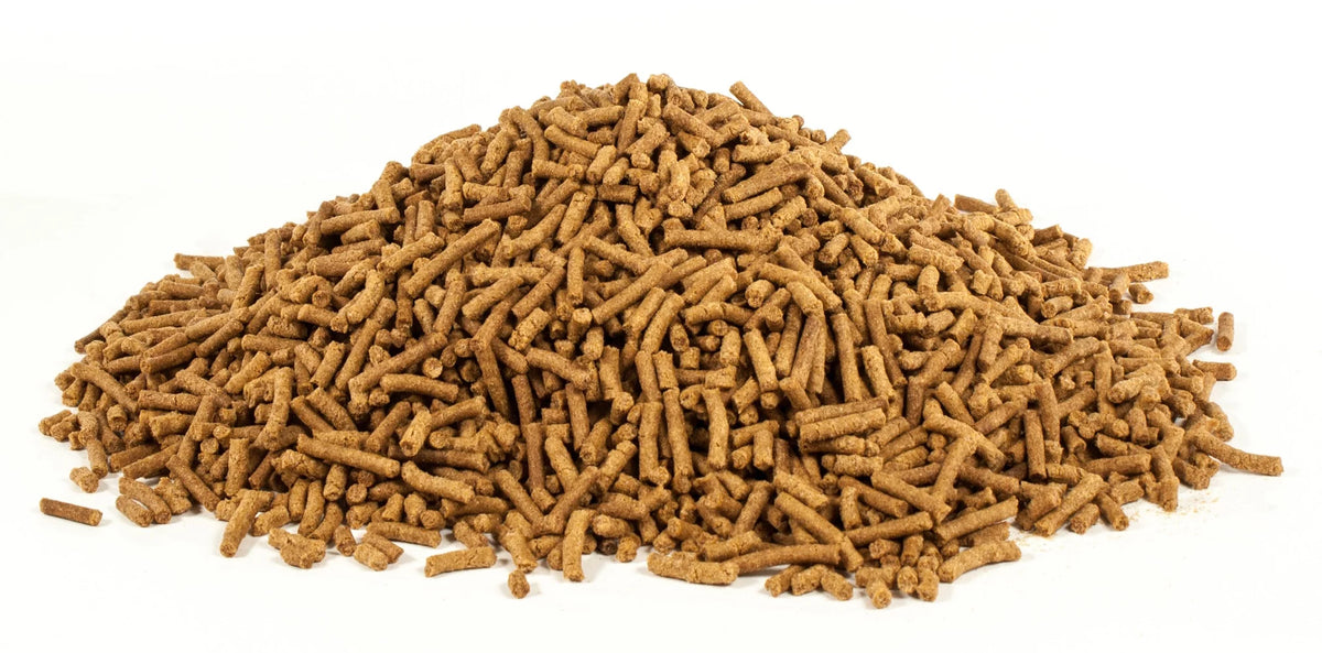 Horse Psyllium Fiber Pellets, 10 lbs. F13623