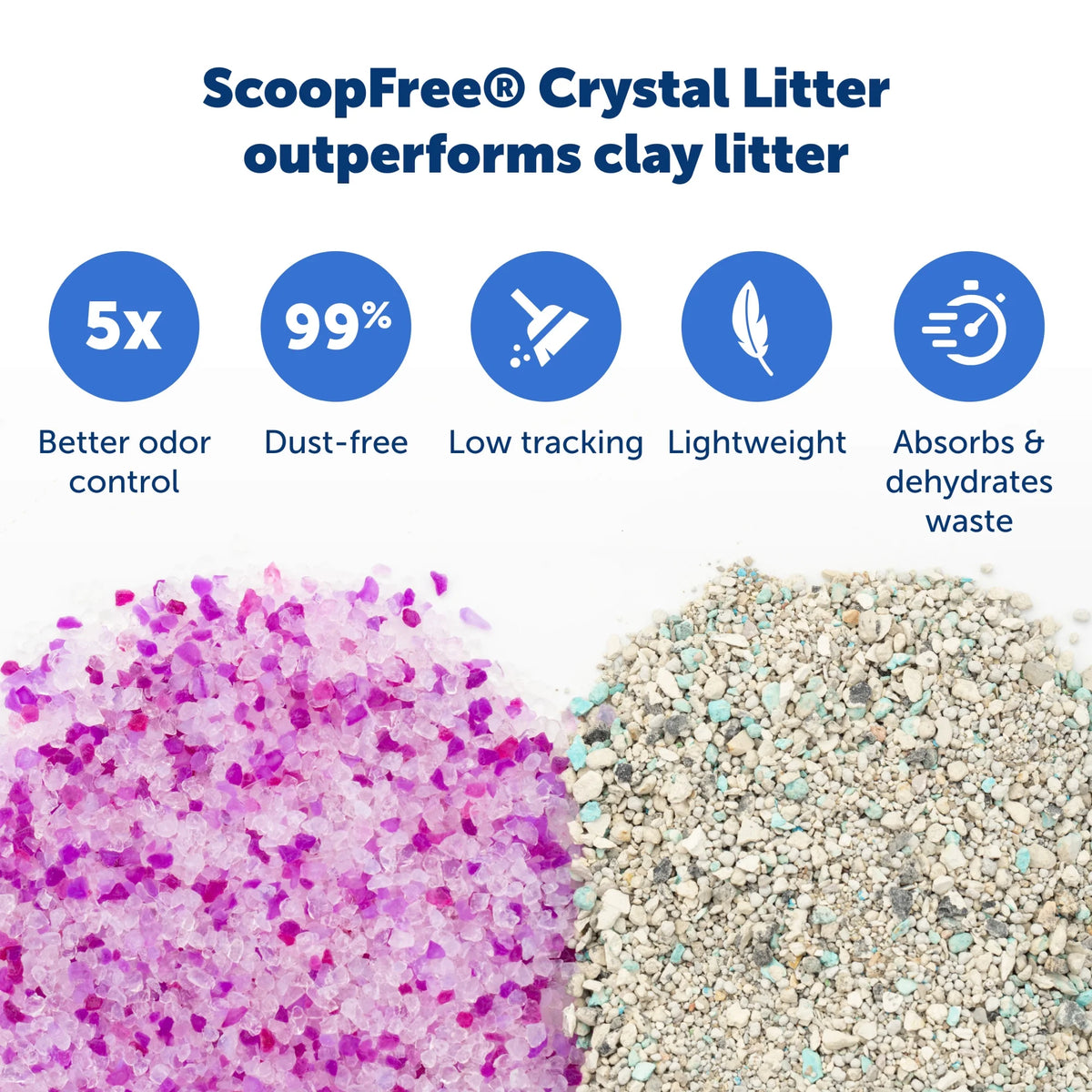 Lavender Scent Silica Crystals Cat Litter Trays 6-Pack J92917