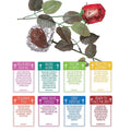 Chocolate Rose Gift Kit 96 Pc M152