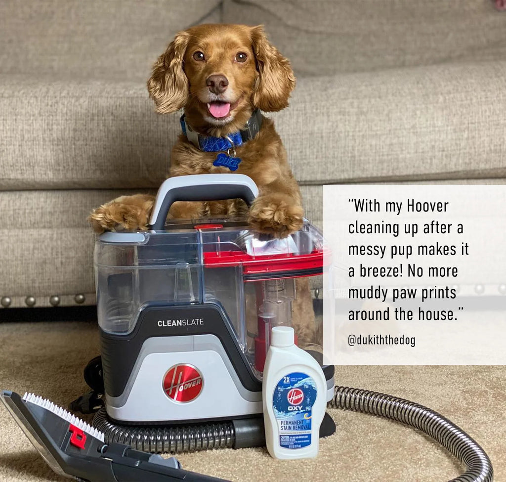 Portable Carpet and Upholstery Spot Cleaner X5806