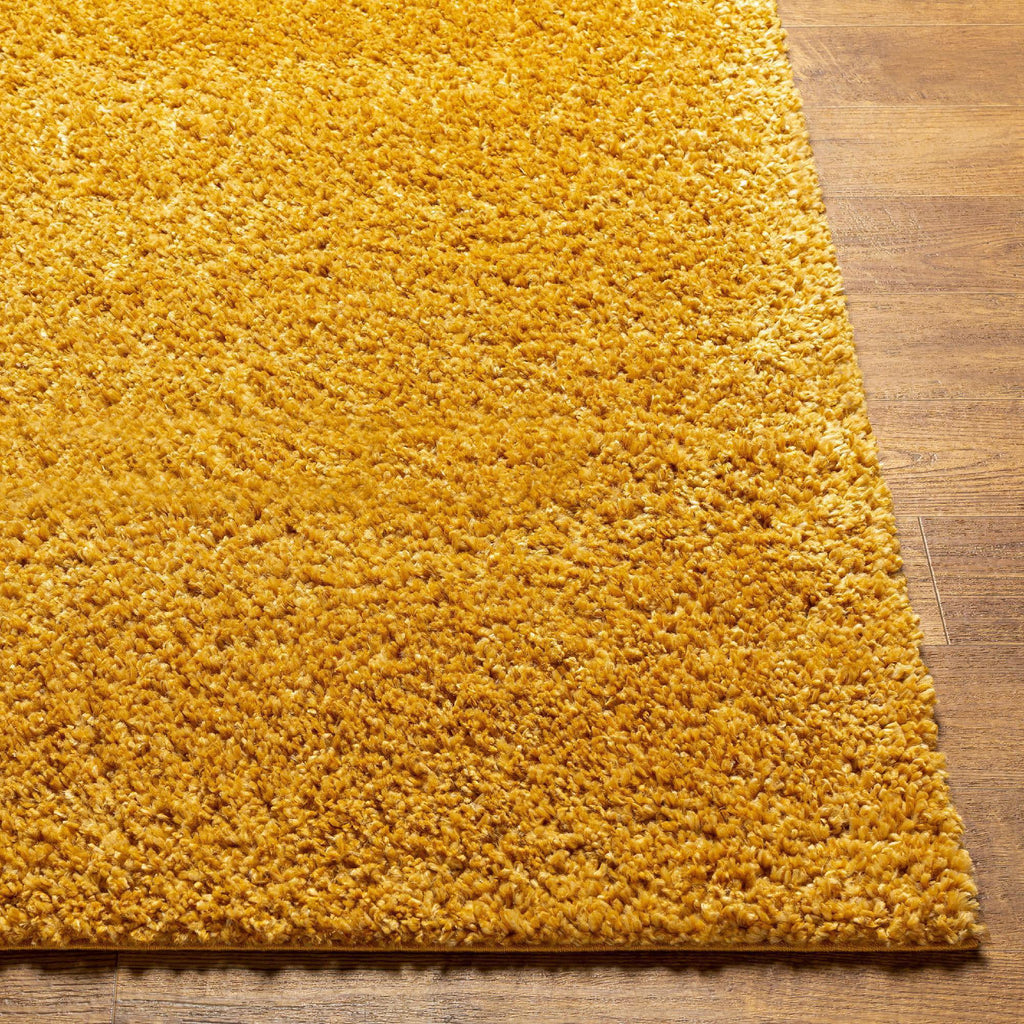 6x9 Bright Orange Area Rug C434208