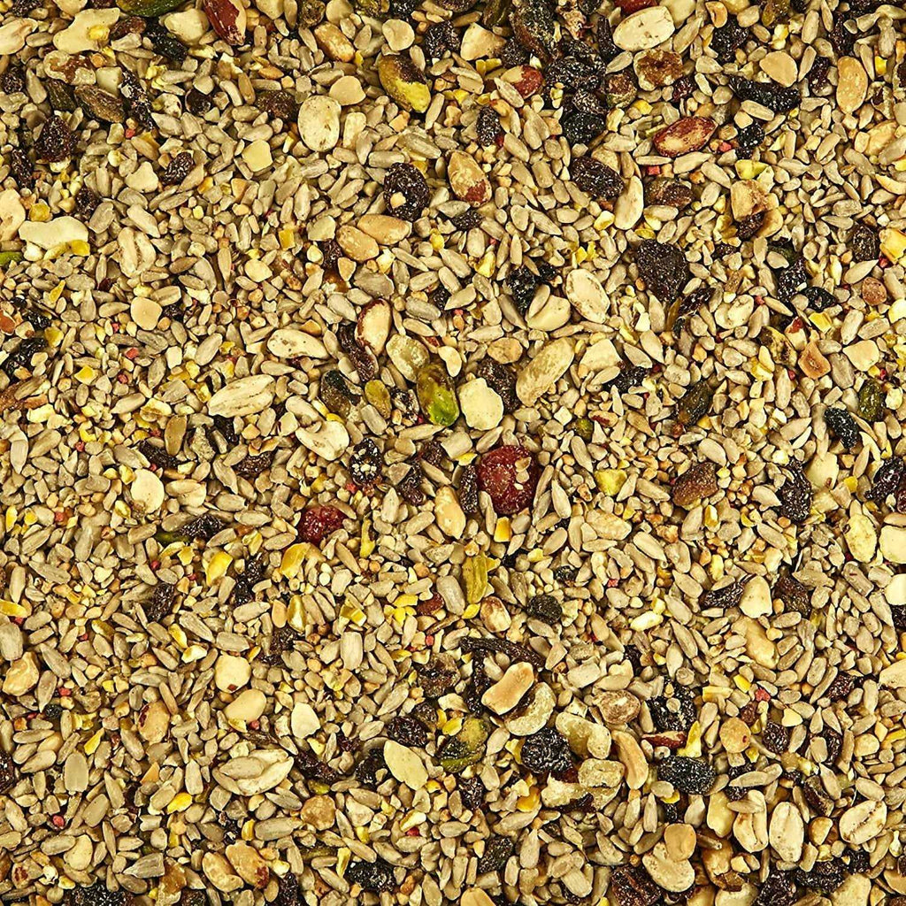 Nut & Fruit Blend Wild Bird Food J275156