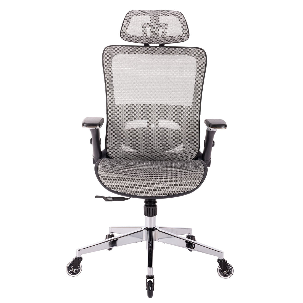 Grey Ergonomic Mesh Office Chair with Lumbar Support A65667