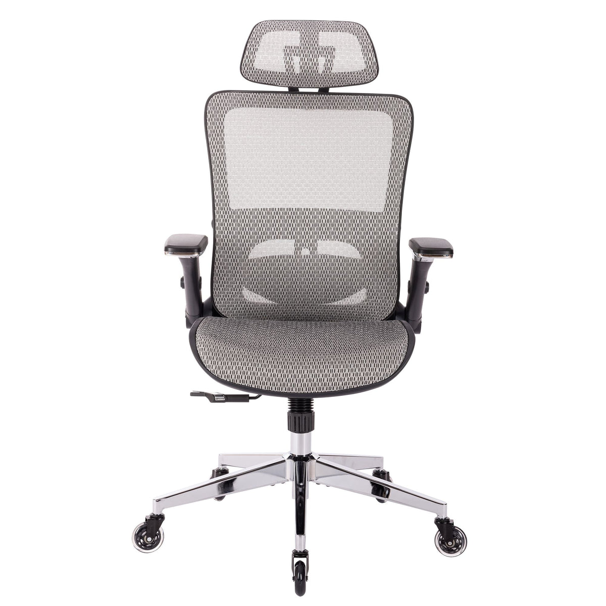 Grey Ergonomic Mesh Office Chair with Lumbar Support A65667